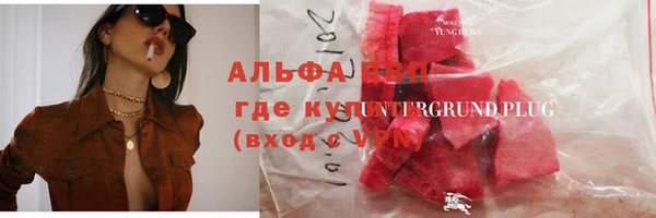 сатива Куйбышев