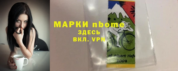 сатива Куйбышев