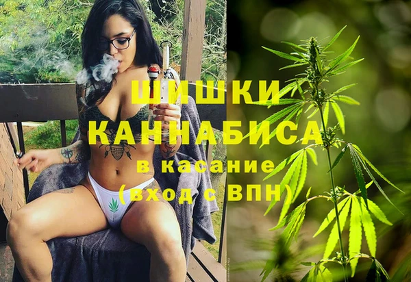 сатива Куйбышев