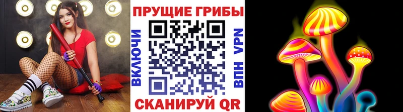 мориарти наркотические препараты  Тайга  Галлюциногенные грибы Magic Shrooms  магазин   