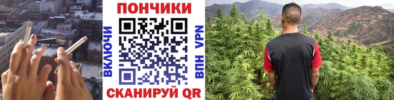 Бошки марихуана планчик  хочу наркоту  Тайга 